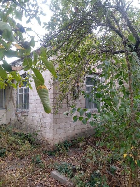 Продам будинок 150 км від столиці