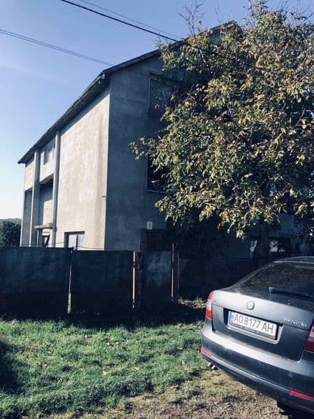 Продам будинок 230 м², 50 соток, біля термалів Берегове