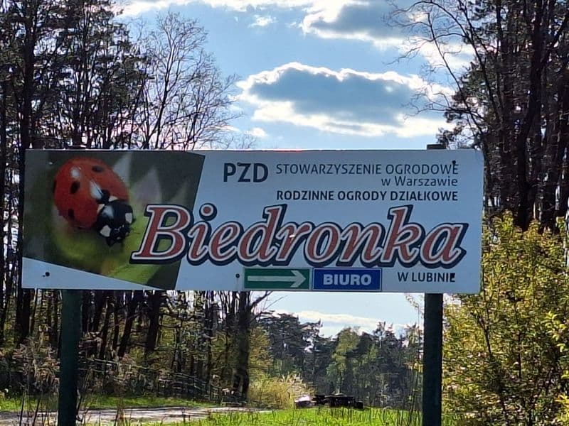 Działka ogrodowa ROD Biedronka  4 a