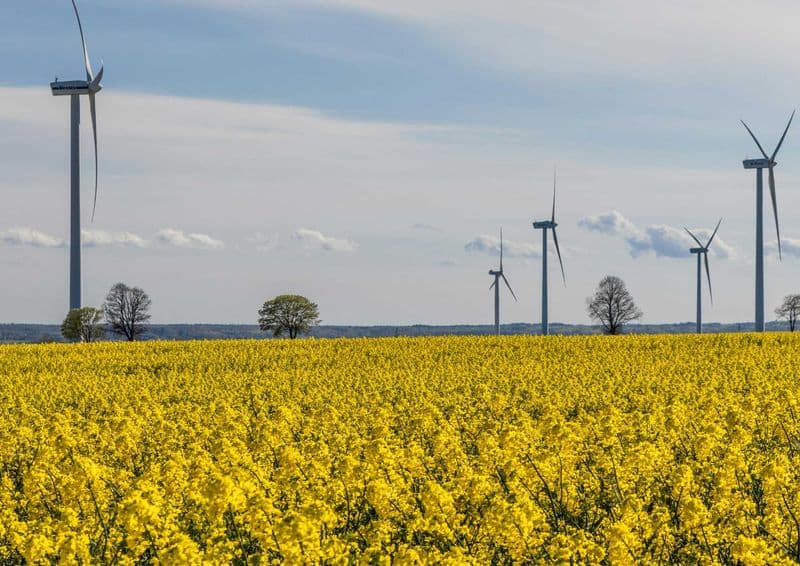 Wydzierżawimy gruntu pod farmy wiatrowe