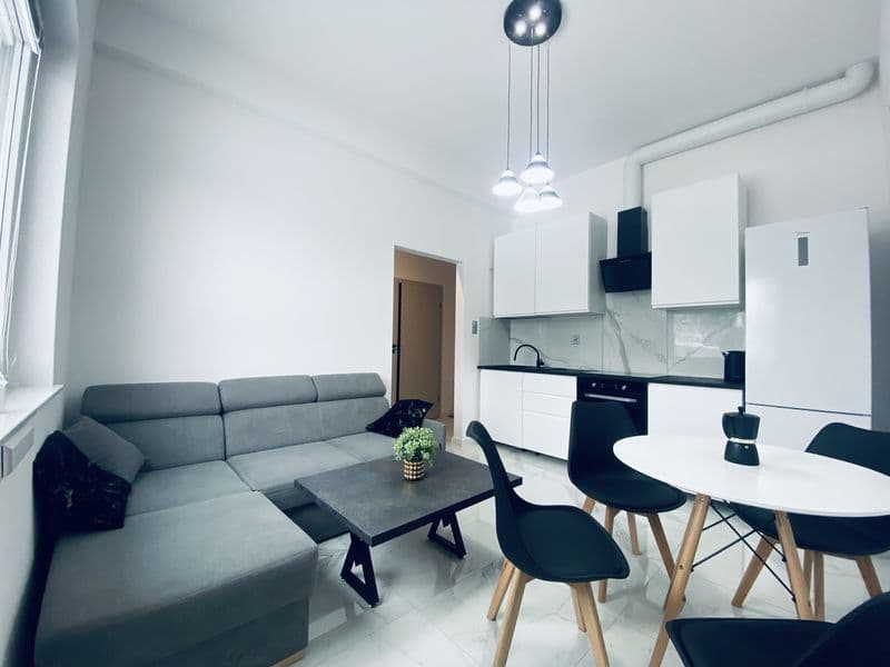 Wynajme mieszkanie z ogrodem o powierzchni 53 m2 w domu blisko las