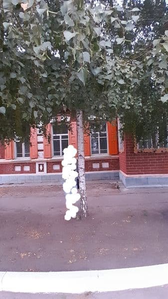 Продам  полдома на берегу Днепра