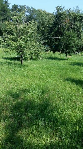 Оренда дачі на літо ( напрямок Літки, Бровари)25 км від Києва