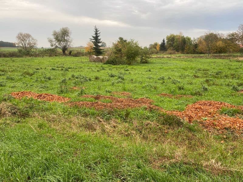działka wagrowiec tarnowo pałuckie dobra lokalizacja droga utwardzona