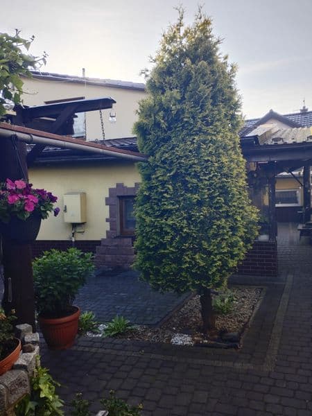 Sprzedam dom Dęblin