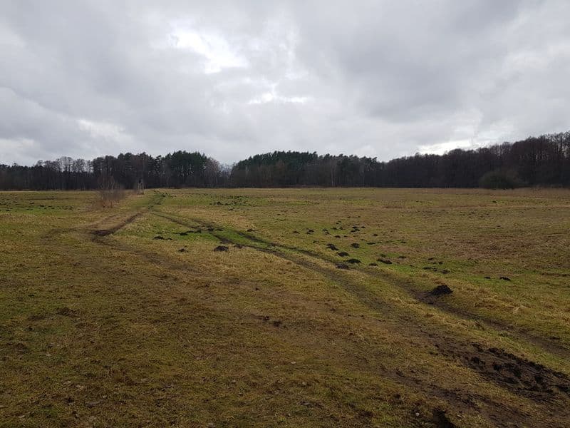 Piękna dzialka 2,9 ha nad rzeką Piławką w otoczeniu lasu