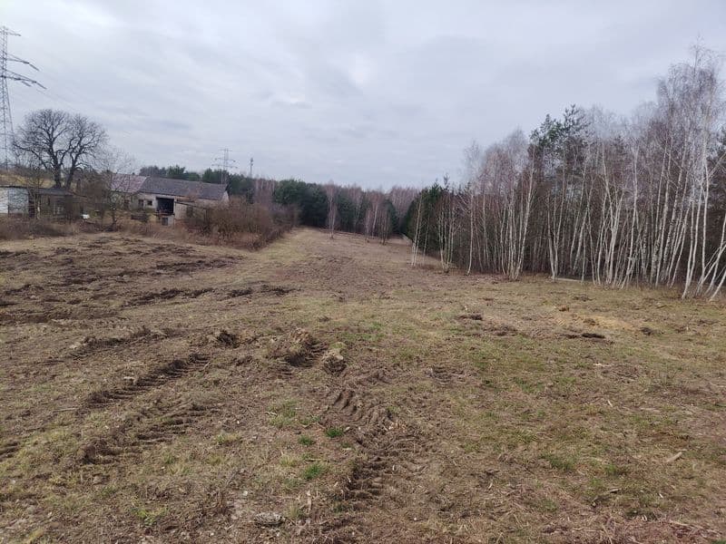 Rosanów 99.000 zl