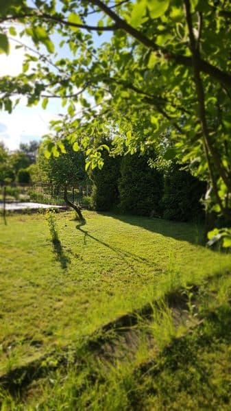 Działka rekreacyjna ROD Zawiercie ul. Podmiejska + prąd, woda, sprzęt