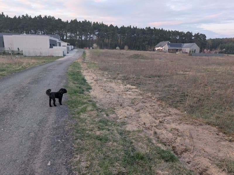 Sprzedam działkę Poznań ul. Przyjemna