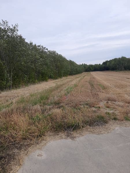 Działka rolna, sprzedaż bezpośrednia 2900 m2