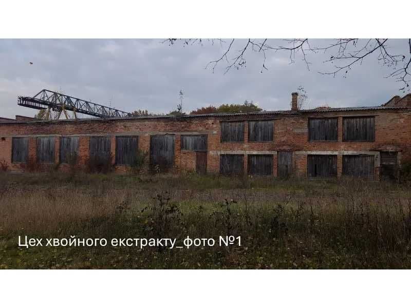 Цехи та майстерня, 1289 кв. м, вул. Сонячна, 1