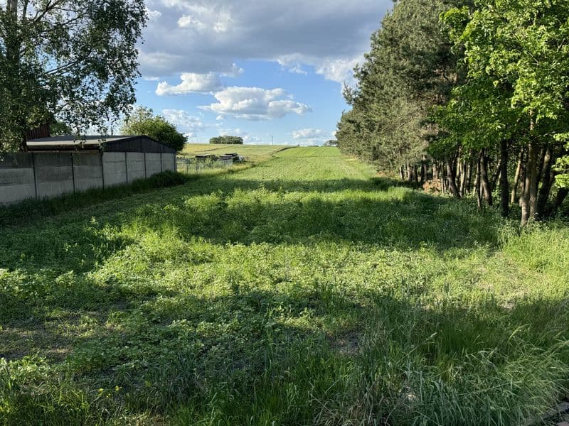 Plac do wynajęcia przy drodze 713 – różne możliwości wykorzystania