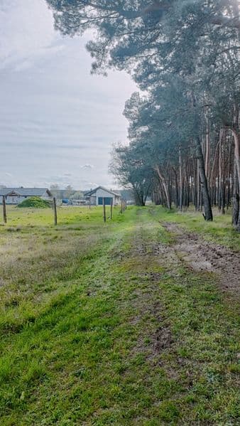 Sprzedam działki  –3 km od Nowej Soli, przy lesie, WZ, spokojna okolic