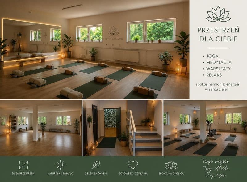 Lokal użytkowy 190 m2