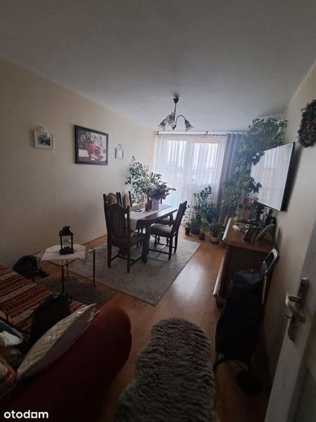 Sprzedam Mieszkanie 46 M Bardzo Blisko Parku Solankowego