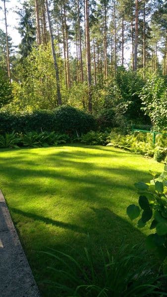 Ogródek Działkowy ROD przy ŚCIANIE LASU Białystok/Wasilków