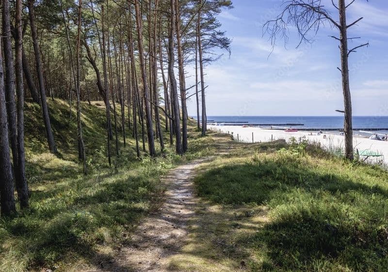 *Domek *Media *Działka 1500m2 *Morze *Kołobrzeg *Dzwirzyno *Ustronie