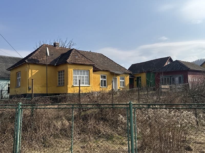 Продам будинок в курортному містечку Свалява