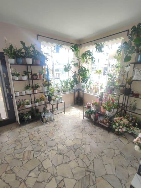Lokal użytkowy z gruntem dzierżawionym od miasta Gdyni