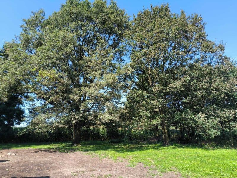 Dom z Działką 738m2 Tarnowskie Góry Rybna ul Tołstoja Sielanka Śląskie