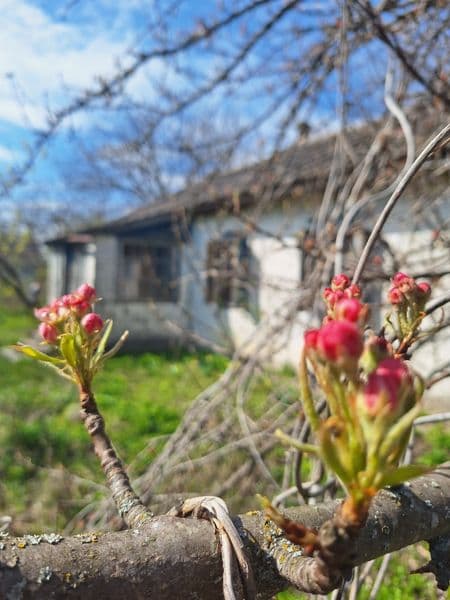 Продам участок с. Подгорное