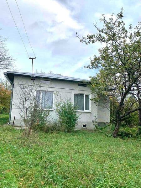 Продається будинок в м. Долина