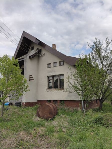 Продаж будинку в Шепарівцях