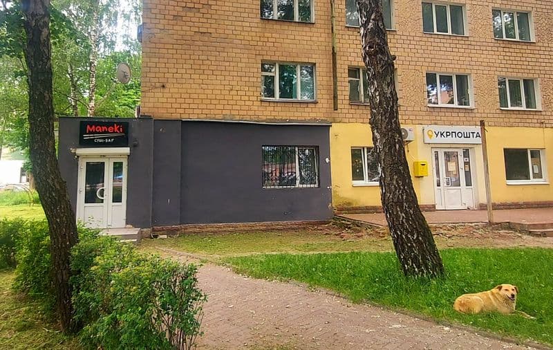Приміщення магазин-офіс