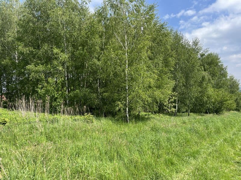 Działka 11 arów widokowa w Ropczycach ul.leśna