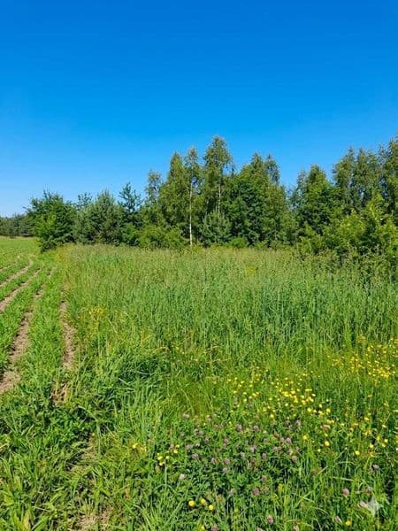 Działka Budowlana z MPZP i mediami – Ławki, gm. Prażmów (1065 m²)