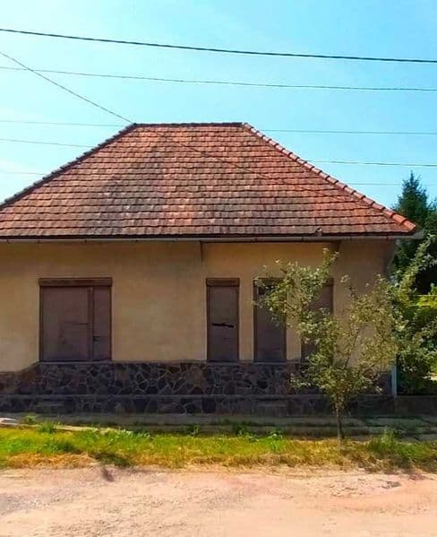 Будинок в Берегові для проживання чи бізнесу