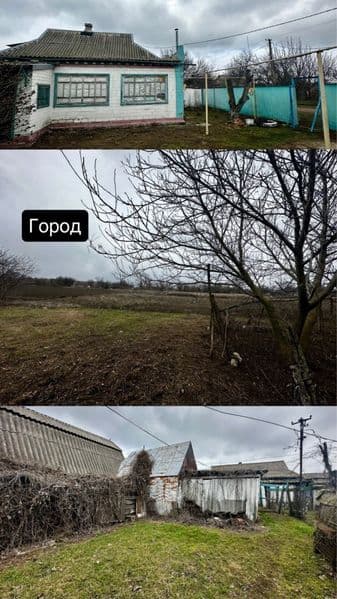 Будинок (хоз.двір, город, гараж, літня кухня) 20 км біля Верхньодніпровська.