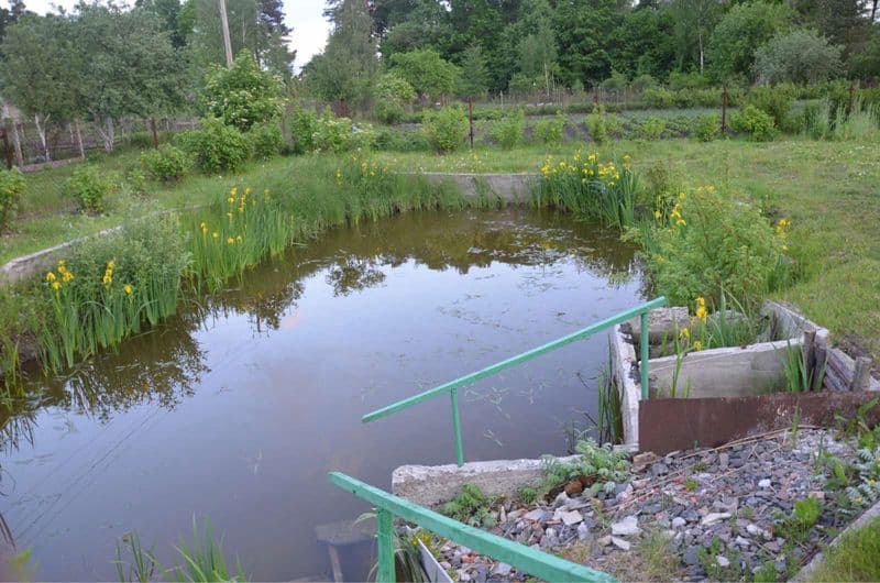Продам дачу ! Актуальна ціна , хороший стан.