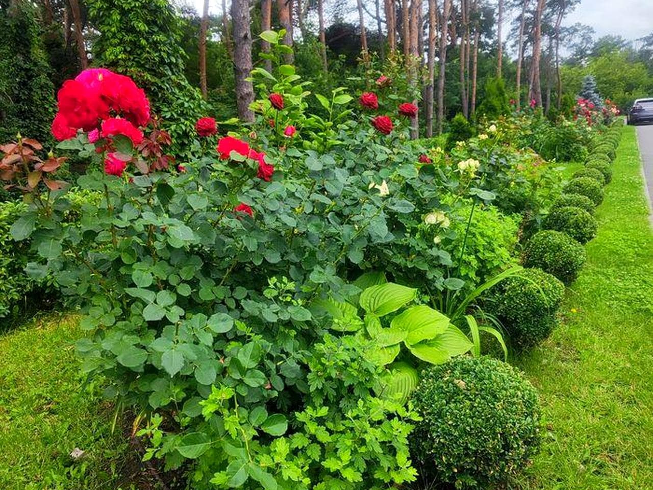 ЖК "River House" 3 к. квартира -113 м 2 ! ЖК River House