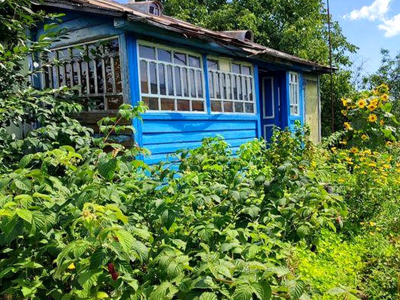 Продаж будинку  в с. Вертіївка
