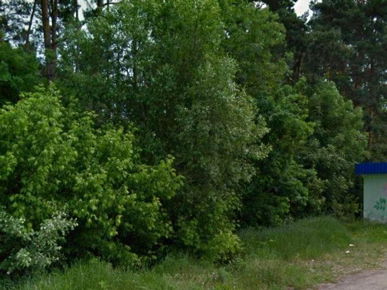 земельна ділянка, 4000.0 м²