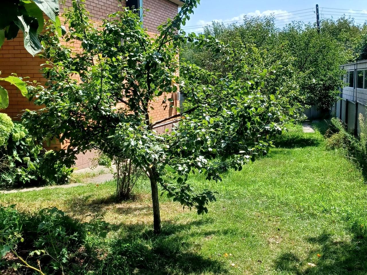 Любимовская