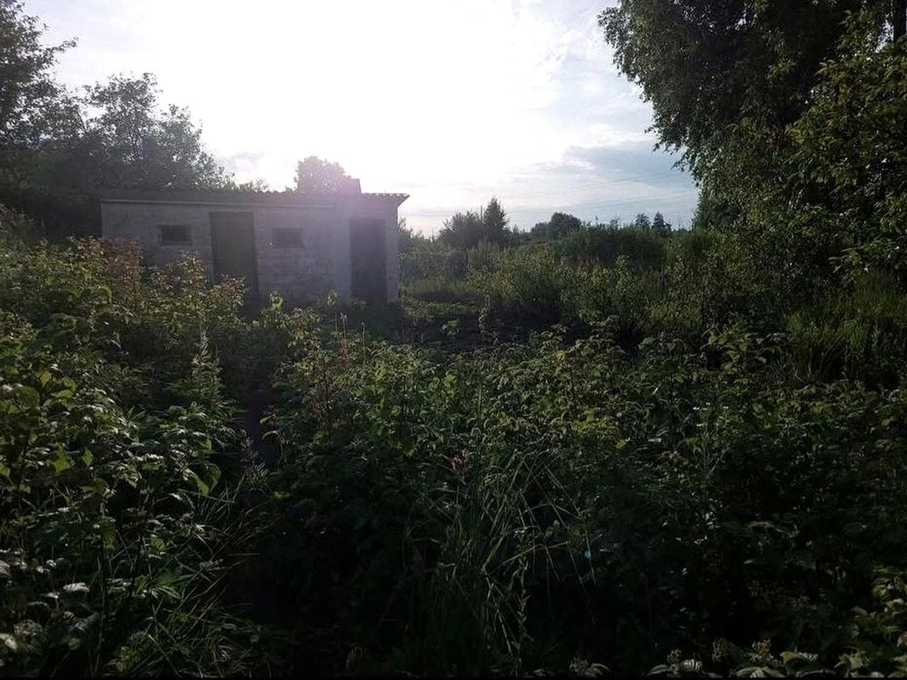Продам дачу в Солоницевке