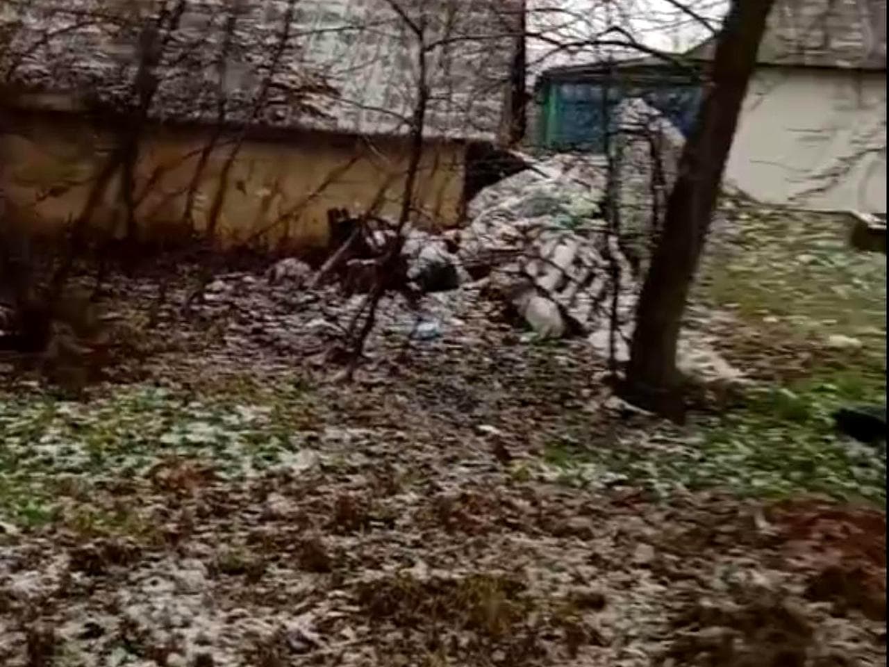 Гайдамацька, 11
