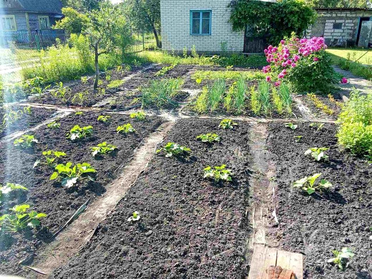 Продам Два будинки в одному.дворі!