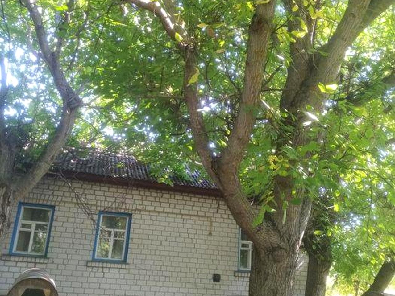 Продам будинок с.Ставок .торг