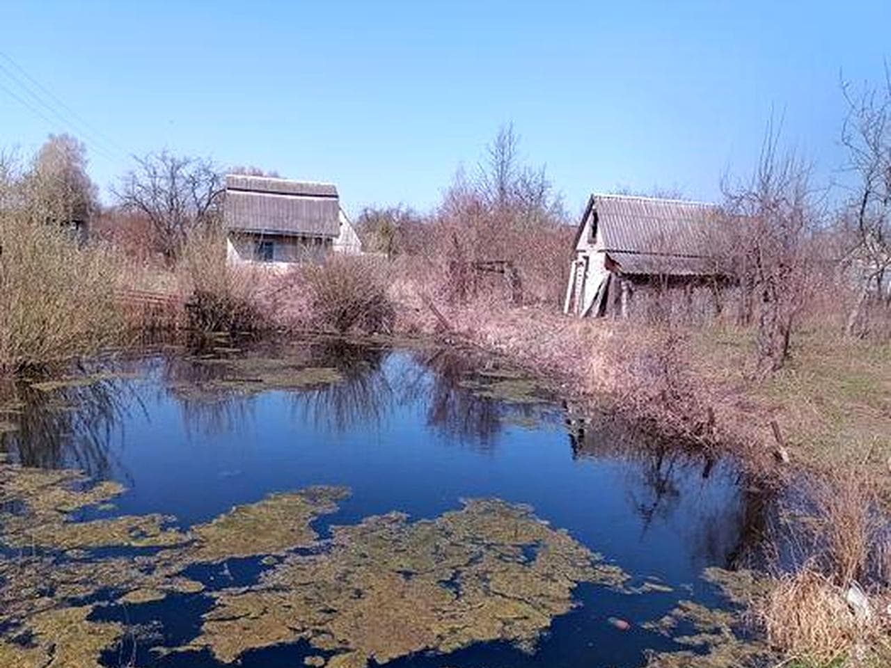 Продається приватизована  дачна ділянка 12 соток з водоймою.