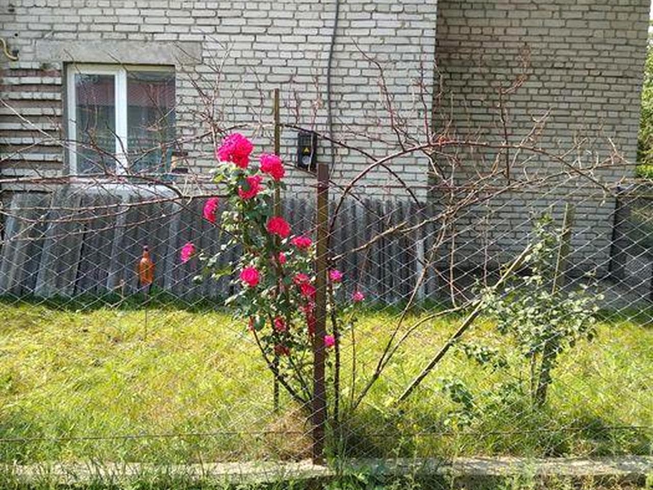 Продаж будинку м.Яворів вул.Маковея 40А