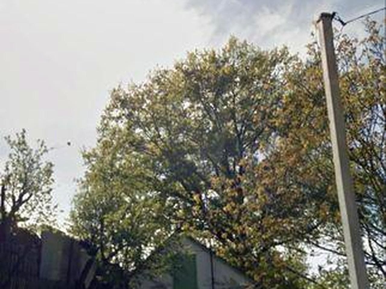 Будинок з ділянкою, м.Обухів, під ремонт/будівництво