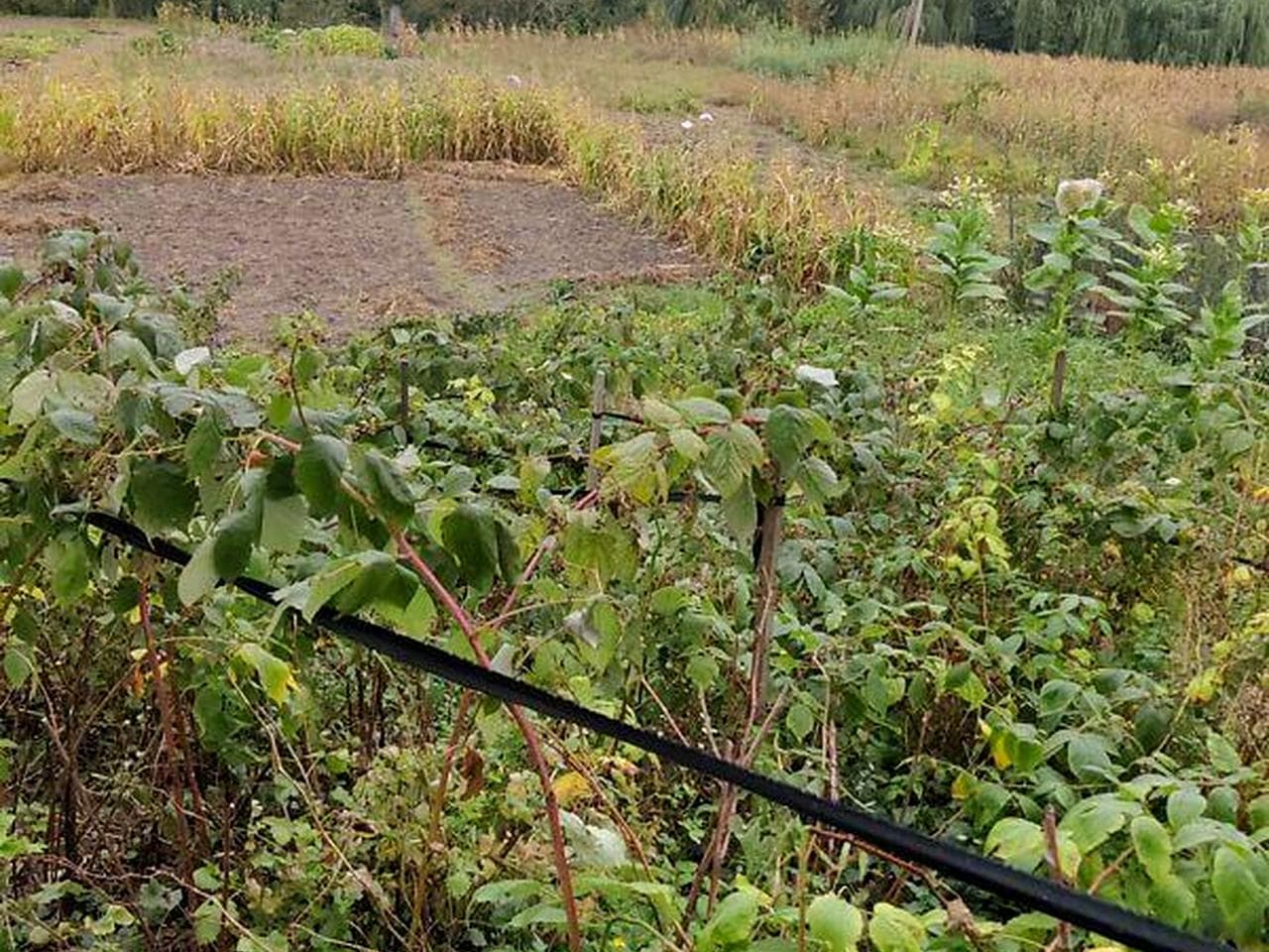 Продаж 4к Дім Вербова вулиця
