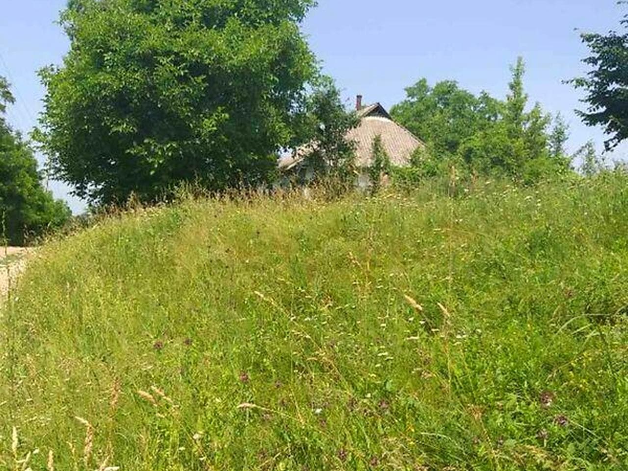 Продаж 3к Дім Орликівка вулиця