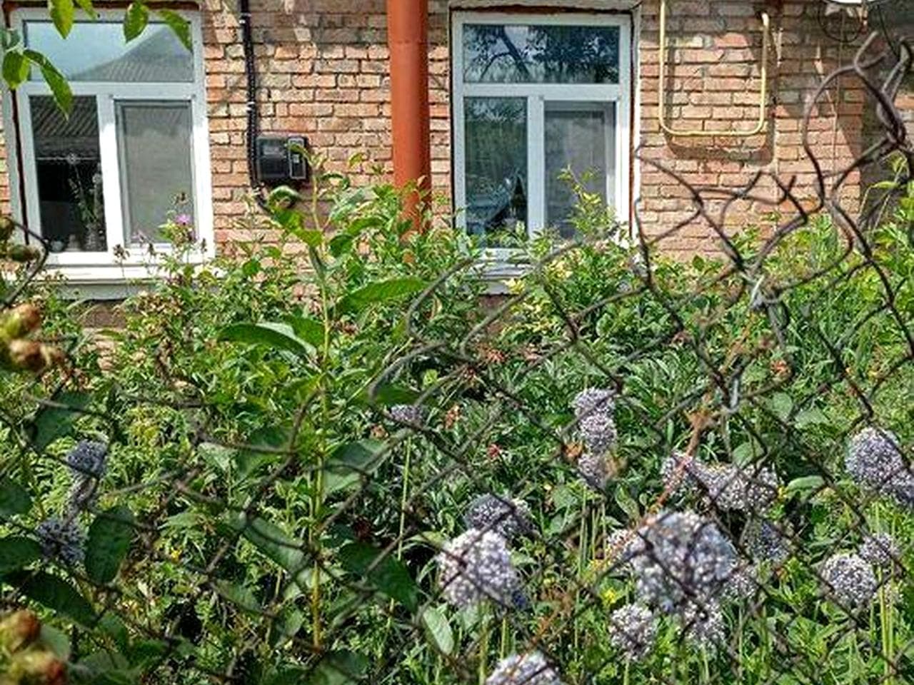 Терміновий продаж 2 кімнатної квартири зі своїм участком землі( радгосп), ціну знижено.