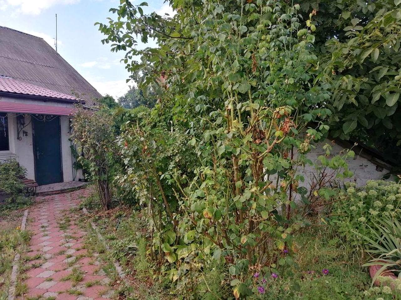 Продам приватний будинок
