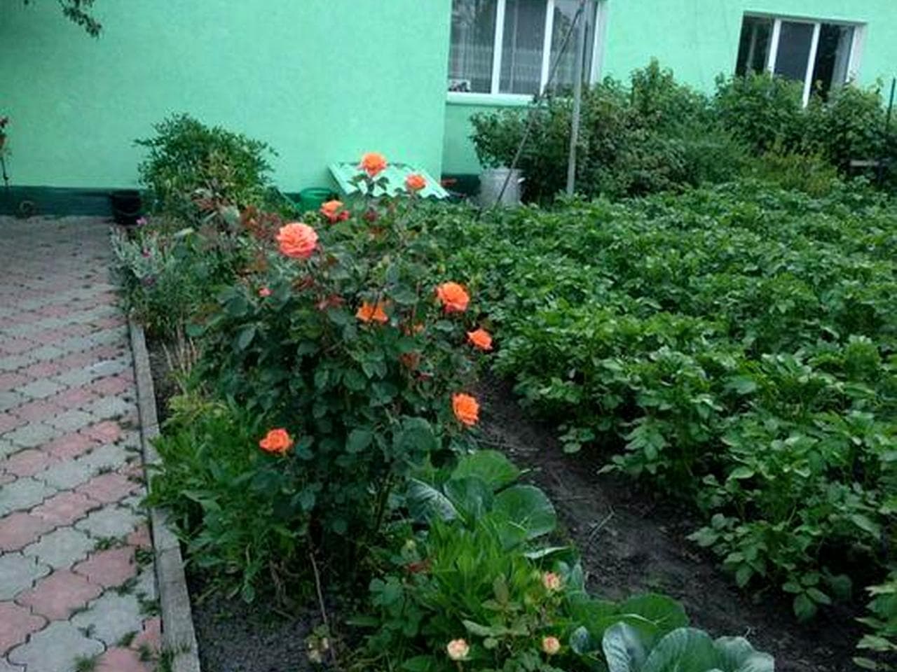 Приватний будинок