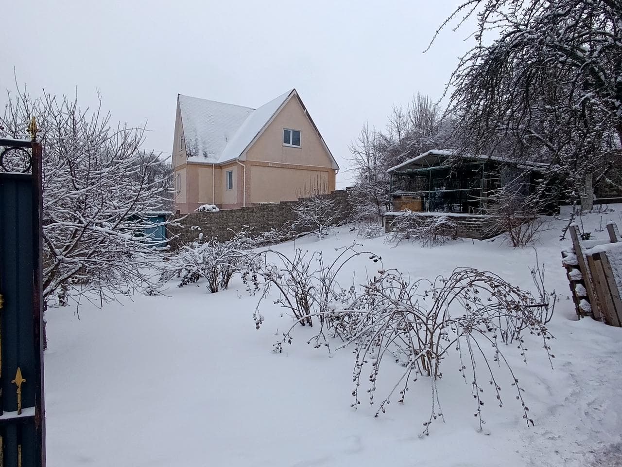 Вікторія, 26
